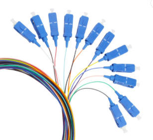 12 Cores 1M Optical Fiber Pigtail SC / UPC Untuk Telekomunikasi